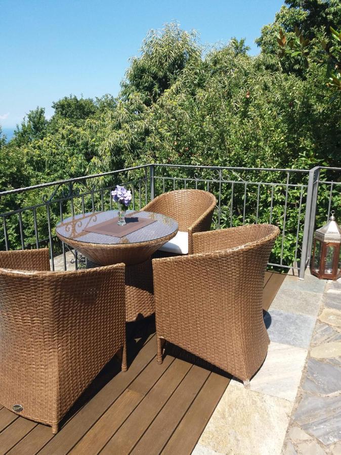 Aroma Piliou - Άρωμα Πηλίου Hotell Mourésion Eksteriør bilde